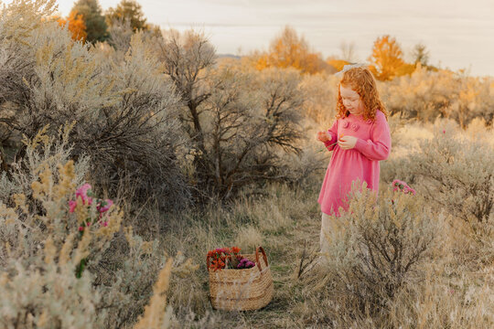 Little girl in autumn meadow with basket