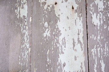 Fototapeta premium Distressed Peeling White Paint on Grey Wood Planks. Soft, flaky layers of white paint peel from sun-bleached grey timber.