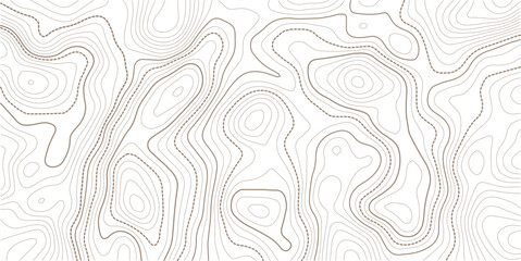 Fototapeta premium The stylized height of the topographic map in contour, lines. The concept of a conditional geography scheme and the terrain path.