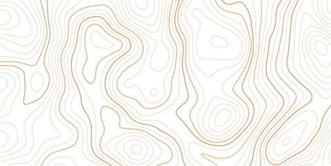 topographic line contour map background, geographic grid map, stock vector illustration. paper texture Imitation of a geographical map © Jannatul