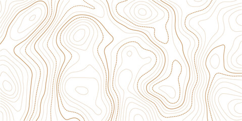 topographic line contour map background, geographic grid map, stock vector illustration. paper texture Imitation of a geographical map © Jannatul