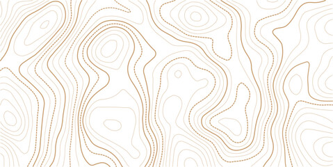 topographic line contour map background, geographic grid map, stock vector illustration. paper texture Imitation of a geographical map © Jannatul