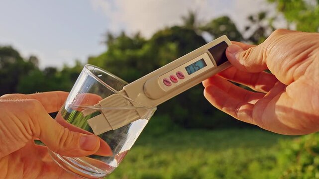 First Person View Of Hands Measuring Drinking Water With Digital Quality Meter Showing Fifteen Ppm In Glass With Tropical Forest Background. Water Purity Monitoring, Healthy Lifestyle