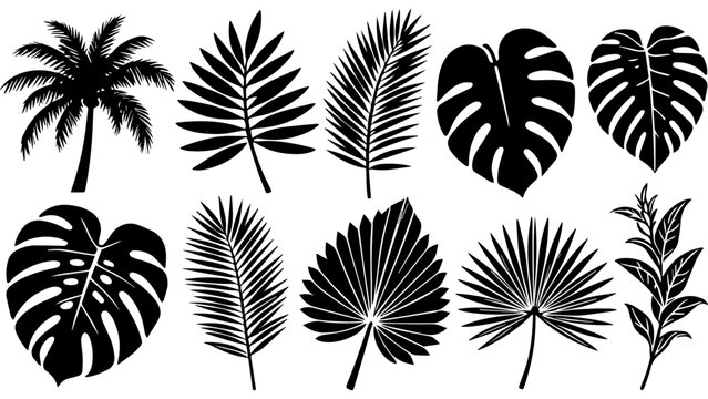 Set of 11 black tropical leaves silhouettes vector collection with palm, monstera and fern botanical shapes isolated on white background for design