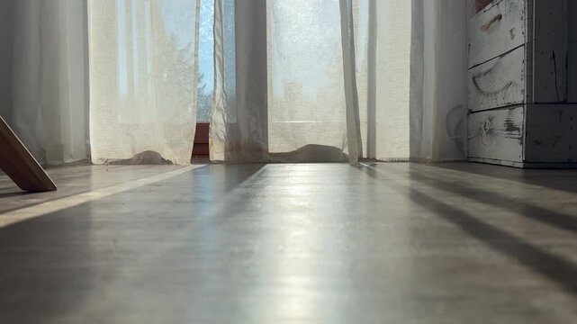 Low angle view of a person rolling past the camera using shoes with retractable wheels on a wooden floor. Sunlight through curtains creates a dynamic indoor lifestyle and movement scene.