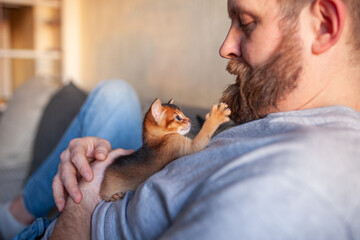 Bearded man lies on couch with small red kitten on his chest touching beard with tiny paw, man looks down tenderly. Warm intimate moment of pet bonding, tenderness, companionship, relaxation. © Natallia