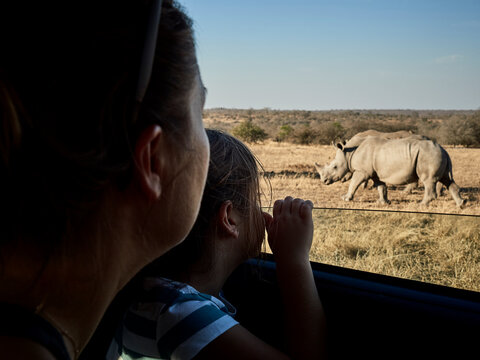 Mother and daughter admiring rhinoceroses through the car window, Mpumalanga, South Africa