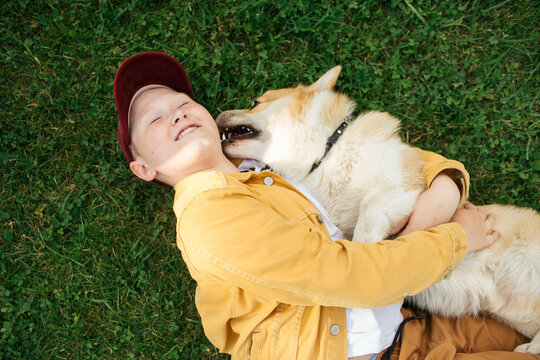 Boy with Welsh Corgi Pembroke lying on meadow
