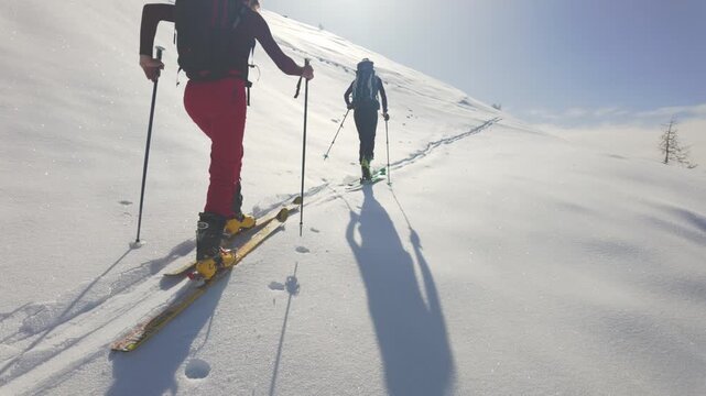 Two ski mountaineers ascending a steep snowy slope with long shadows during a sunny winter ski touring adventure.