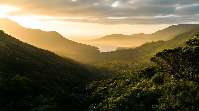 Golden sunrise over lush green mountain valley and bay