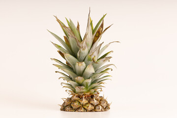 Fototapeta premium Frische tropische Ananas – exotische Frucht, gesunde Ernährung und Sommerfeeling, auch als Stücke oder Scheiben aus der Dose lecker