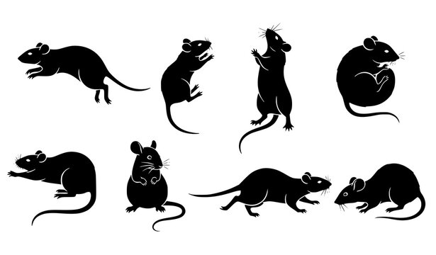 Black rat and mouse silhouette vector icons set with rodent animal clipart for digital design