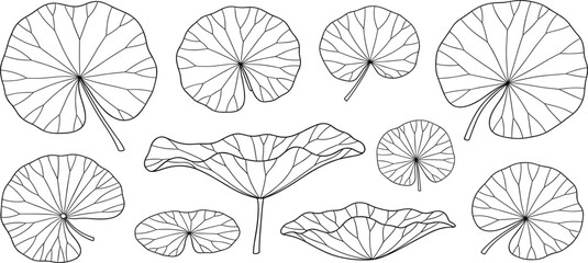 Fototapeta premium Lily Pad Leaf Line Art Set with Botanical Water Lily Leaves Outline Collection for Nature Designs, Pond Illustrations, Floral Decor, and Minimal Vector Projects