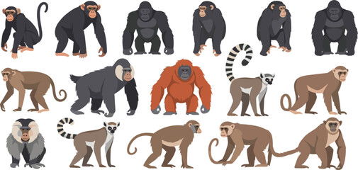 Monkey and Ape Cartoon Collection with Chimpanzee Gorilla Orangutan Baboon and Lemur Characters for Wildlife Education, Zoo Design, Safari Illustration, and Kids Learning Materials © Selim Studio