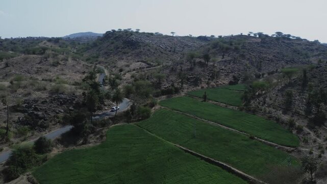 Aerial view of white car traveling serpentine road through rocky hills and green farmland in rural Rohida, Rajasthan during overcast dusk.