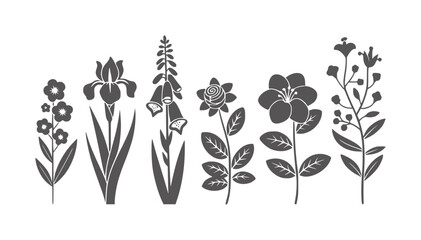 Black and white of six different stylized flowers and plants iris © Mohammad