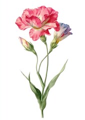 Fototapeta premium Delicate floral watercolor illustration