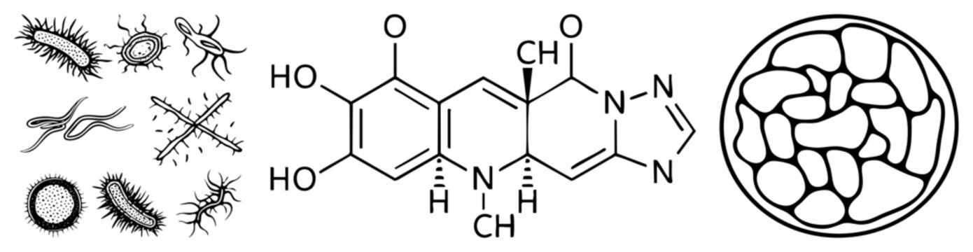 Microscopic bacteria and protozoa illustrations alongside quercetin chemical structure, isolated scientific diagrams for medical or educational use.