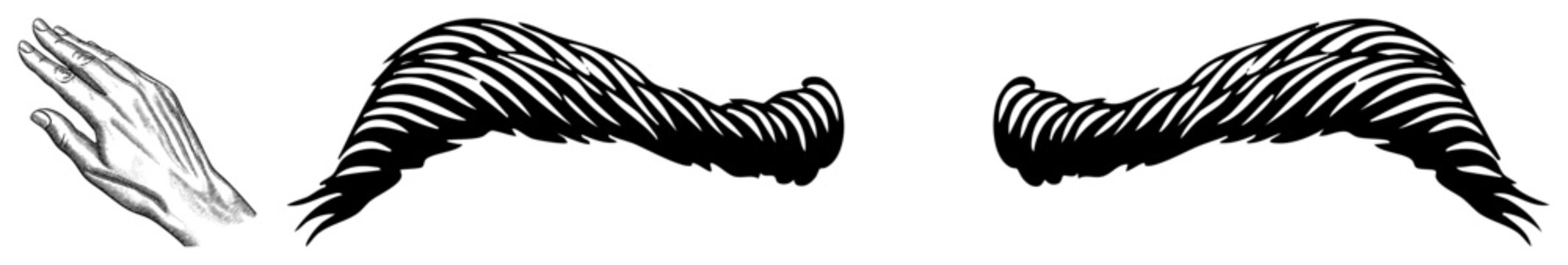 Graphic hand with detailed anatomy, stylized with zebra striped, black and white vector art, isolated design elements, tattoo or illustration concept.