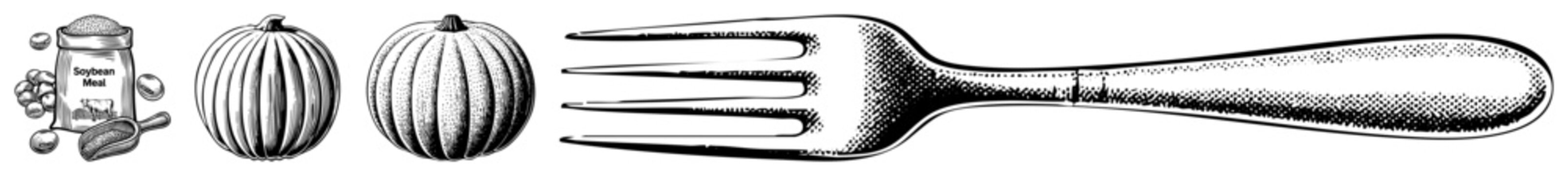 Black and white engraved style of soybean meal container, two ribbed pumpkins, and a dining fork, ideal for rustic or agricultural themes.