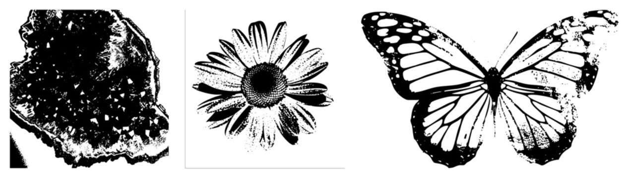 Natural revealing formations, mineral specimen, geological wonder, rock formation, faceted gemstone cluster, earth science display.