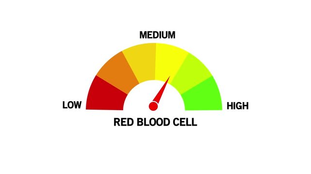 Red blood cell Level Text or Word Low and Medium to High Meter Concept Animation. ideal for concepts related to blood on white Background and features 4k Motion graphics video