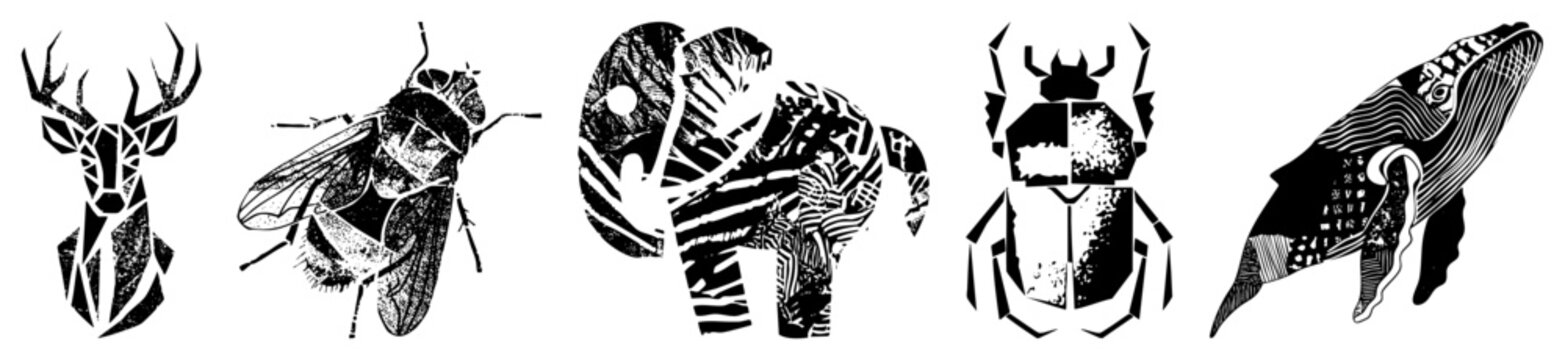 Stylized wildlife portraits using angular shapes, deer, fly, elephant, beetle, whale,, graphic design.