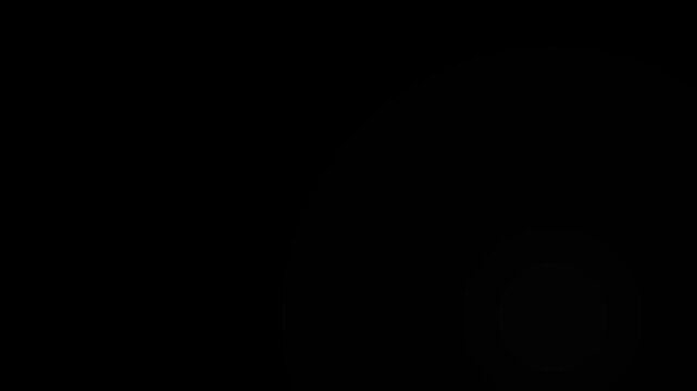 Camera flashes light flares overlay animation against black background. Photographer camera flashes.
Famous popular celebrity photos click. Random bright blinking lights 4k loopable