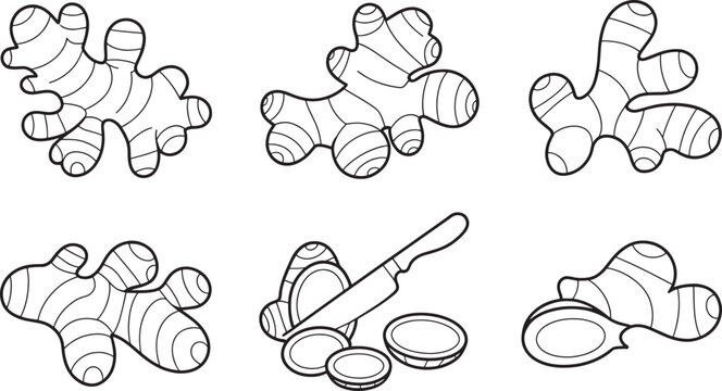 Black and white ginger root with knife and slices food