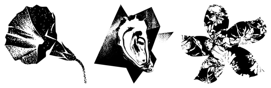 Stylized flower shapes rendered in black and white halftone, geometric fragmentation, graphic design elements, vector art composition, isolated botanical motifs.