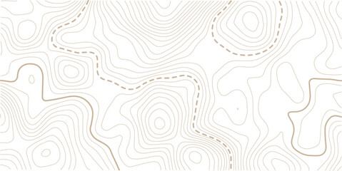 Fototapeta premium abstract wavy background. topographic contour background. Topography background. Vector banner. 