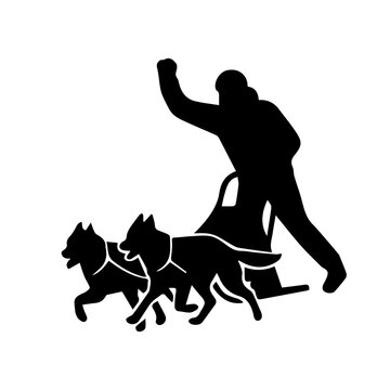Silhouettes mushers driving dog sled team in a winter race or training