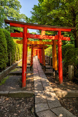 Torii path at Nezu shrine, Tokyo, Japan. Shinto shrine located in Bunkyō ward. Beautiful Japanese garden.