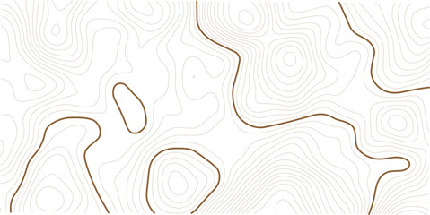 Light topographic topo contour map background, geographic grid map. white background. © MstMomena