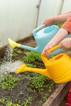 Schoolgirl watering plants in school garden during at outdoor sustainable education class. Concept of experiential learning and ecoliteracy