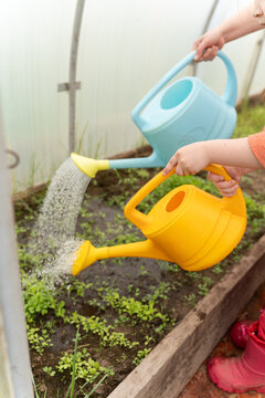 Schoolgirl watering plants in school garden during at outdoor sustainable education class. Concept of experiential learning and ecoliteracy