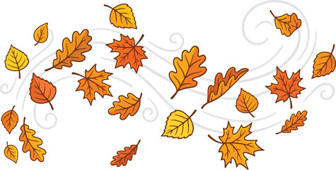 Colorful autumn leaves falling in the wind in a vector illustration