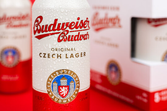 Dnipro, Ukraine 14 oct, 2025: Aluminium Budweiser Budvar lager beer in can with water drops on the red background.
