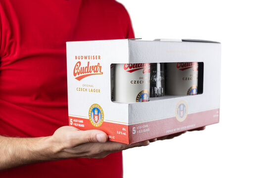Dnipro, Ukraine 14 oct, 2025: Gift box Budweiser Budvar lager beer in the hand.