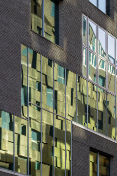 Modern architecture facade of building windows in a grid with green reflections creating urban texture and clean background space