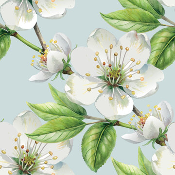 Cherry apple white blossom bloom  botanical seamless vector pattern