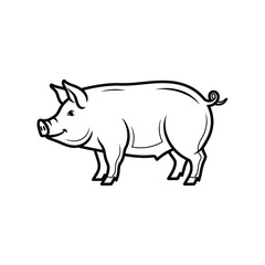 Fototapeta premium Adobe Illustrator Artwork