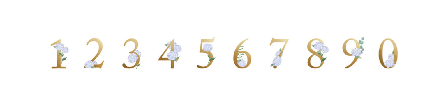 Hydrangea Gold Foil Number Bundle Set-300dpi-The font is Adobe Caslon Pro.
