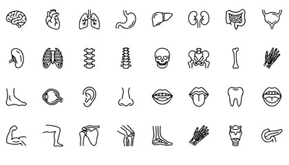 Naklejka premium Human Anatomy and Internal Organs Line Icon Set