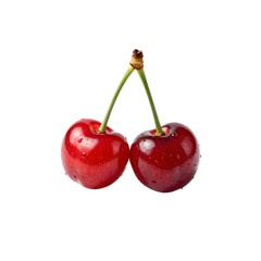 Two ripe cherries connected by their stems isolated on a white backdrop
