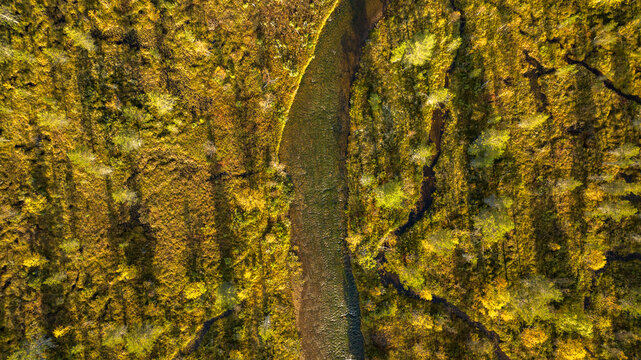 Aerial view of a sinuous river cutting through a tapestry of autumnal hues, where the golden foliage meets the tranquil water, Saariselka, Lappi, Finland.