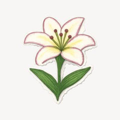 Naklejka premium Elegant hand-drawn lily illustration.