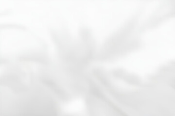 Fototapeta premium Black white simple soft background