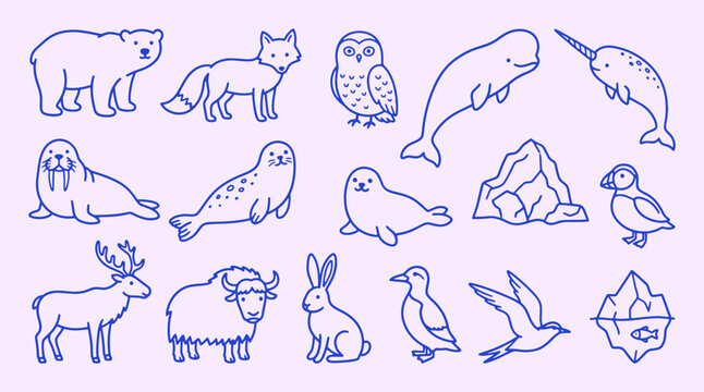 Arctic animals doodle collection with clean outline line drawing. Polar bear, fox, owl, narwhal, walrus, puffin, iceberg. Cute northern wildlife elements for coloring pages nature themed design.