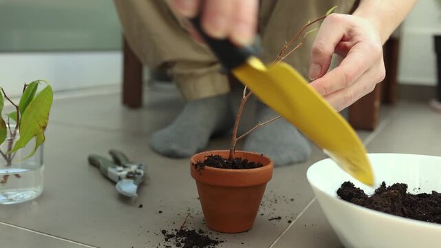 A close-up of hands using a yellow trowel to add soil to a small green pot for plant propagation. Stock video